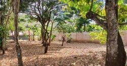 Se Vende Terreno Tuetal Norte, Alajuela  Entrada a calle San Miguel