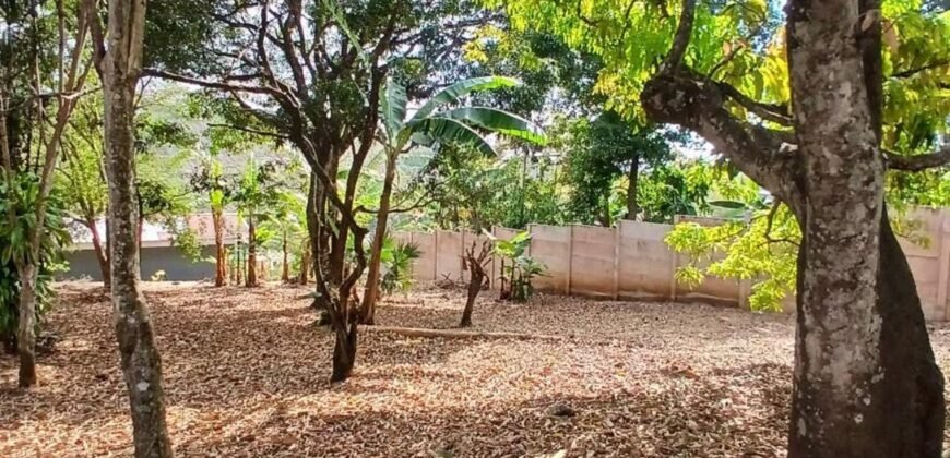 Se Vende Terreno Tuetal Norte, Alajuela  Entrada a calle San Miguel