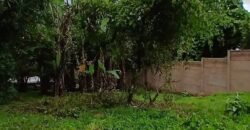 Se Vende Terreno Tuetal Norte, Alajuela  Entrada a calle San Miguel