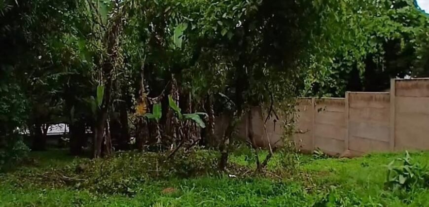 Se Vende Terreno Tuetal Norte, Alajuela  Entrada a calle San Miguel