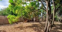 Se Vende Terreno Tuetal Norte, Alajuela  Entrada a calle San Miguel