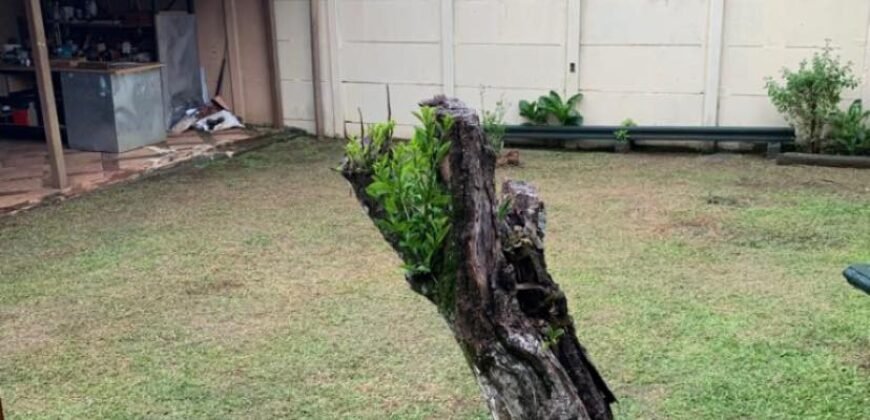 Se Vende Casa Pueblo Nuevo, Alajuela