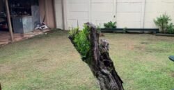 Se Vende Casa Pueblo Nuevo, Alajuela