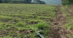 🚨ATENCIÓN DESARROLLADORES  SE VENDE PROPIEDAD DE 21 896 m2  (2 ha 1896 m2)  📍SAN ISIDRO DE ALAJUELA