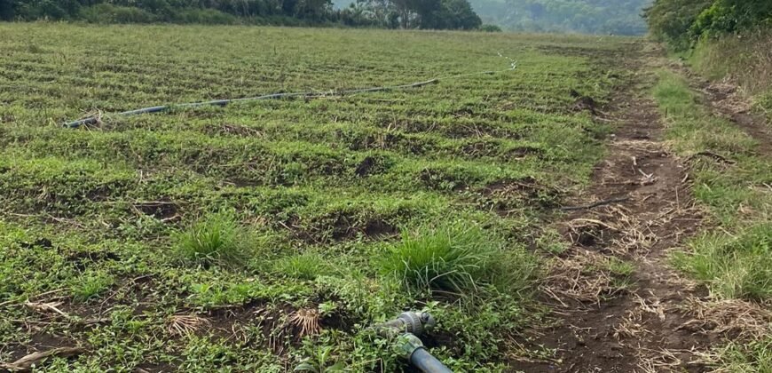 🚨ATENCIÓN DESARROLLADORES  SE VENDE PROPIEDAD DE 21 896 m2  (2 ha 1896 m2)  📍SAN ISIDRO DE ALAJUELA