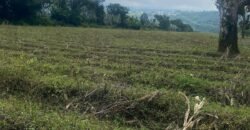 🚨ATENCIÓN DESARROLLADORES  SE VENDE PROPIEDAD DE 21 896 m2  (2 ha 1896 m2)  📍SAN ISIDRO DE ALAJUELA