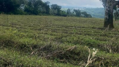 🚨ATENCIÓN DESARROLLADORES  SE VENDE PROPIEDAD DE 21 896 m2  (2 ha 1896 m2)  📍SAN ISIDRO DE ALAJUELA