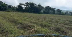 🚨ATENCIÓN DESARROLLADORES  SE VENDE PROPIEDAD DE 21 896 m2  (2 ha 1896 m2)  📍SAN ISIDRO DE ALAJUELA