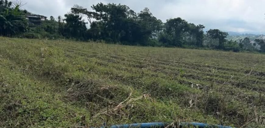 🚨ATENCIÓN DESARROLLADORES  SE VENDE PROPIEDAD DE 21 896 m2  (2 ha 1896 m2)  📍SAN ISIDRO DE ALAJUELA