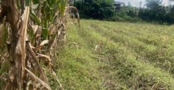 🚨ATENCIÓN DESARROLLADORES  SE VENDE PROPIEDAD DE 21 896 m2  (2 ha 1896 m2)  📍SAN ISIDRO DE ALAJUELA