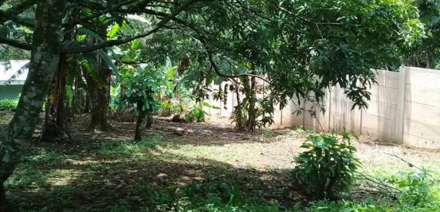 Se Vende Terreno Tuetal Norte, Alajuela  Entrada a calle San Miguel