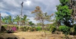 Se Vende Terreno Tuetal Norte, Alajuela  Entrada a calle San Miguel
