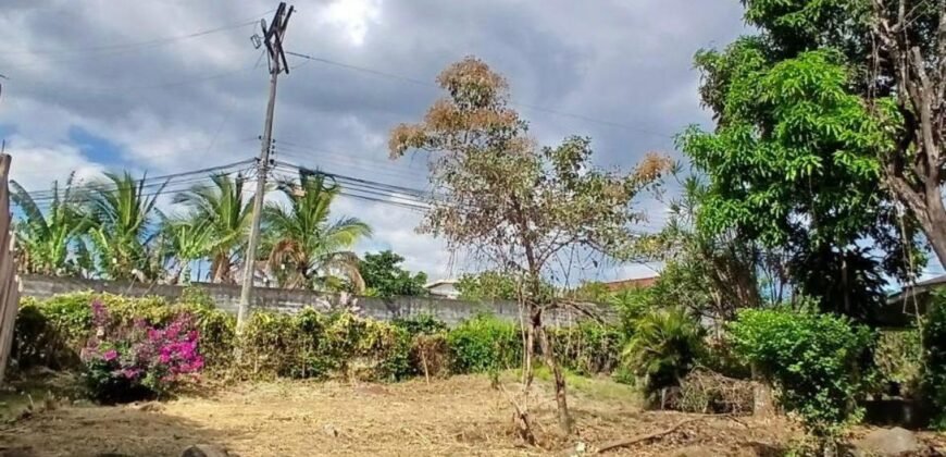 Se Vende Terreno Tuetal Norte, Alajuela  Entrada a calle San Miguel