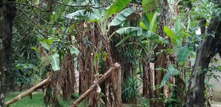 Se Vende Terreno Tuetal Norte, Alajuela  Entrada a calle San Miguel