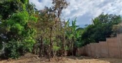 Se Vende Terreno Tuetal Norte, Alajuela  Entrada a calle San Miguel