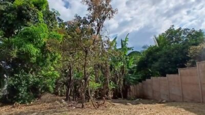 Se Vende Terreno Tuetal Norte, Alajuela  Entrada a calle San Miguel