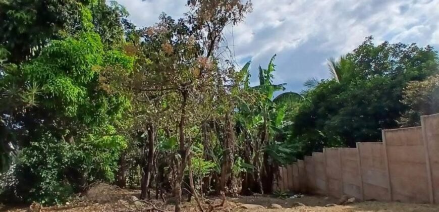 Se Vende Terreno Tuetal Norte, Alajuela  Entrada a calle San Miguel