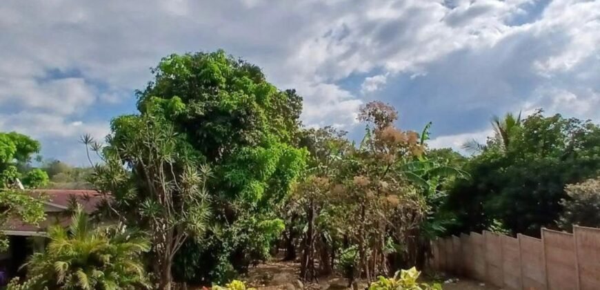 Se Vende Terreno Tuetal Norte, Alajuela  Entrada a calle San Miguel