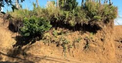 Se Vende último Lote Barrio Jesús, Sta Bárbara Heredia.