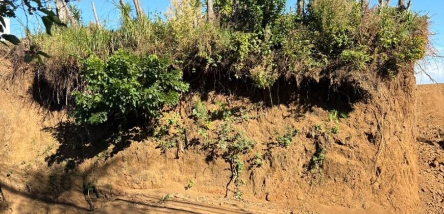 Se Vende último Lote Barrio Jesús, Sta Bárbara Heredia.